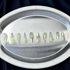 Celadon Relic - Pale Green Marble Handmade Dragon Press-On Nails
