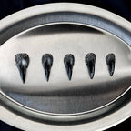 Obsidian Crown - Black Silver Handmade Cat Claw Press-On Nails