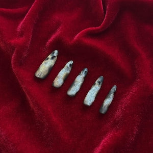 Burnt Lace Gothic Bride Nails "Ember Bride" |  Handartnails